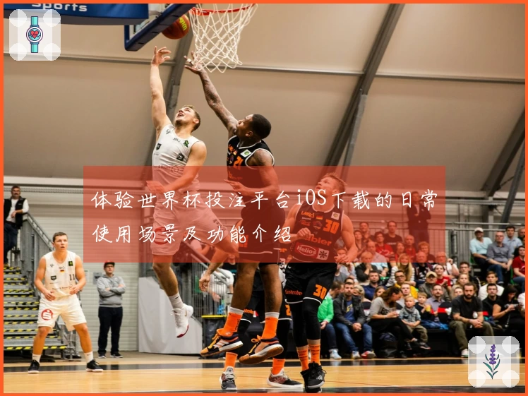 体验世界杯投注平台iOS下载的日常使用场景及功能介绍