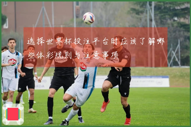 选择世界杯投注平台时应该了解哪些体彩规则与注意事项