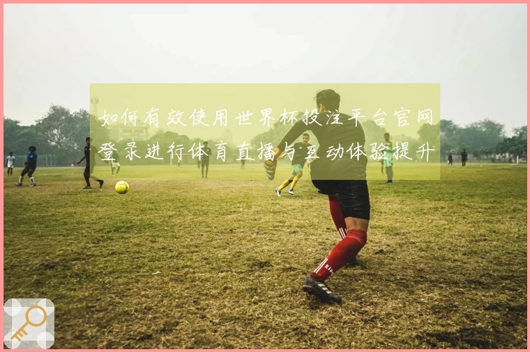 如何有效使用世界杯投注平台官网登录进行体育直播与互动体验提升