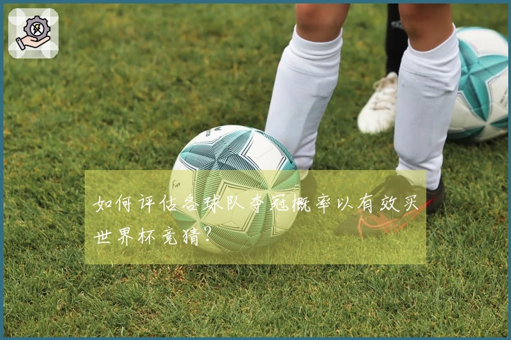 如何评估各球队夺冠概率以有效买世界杯竞猜？
