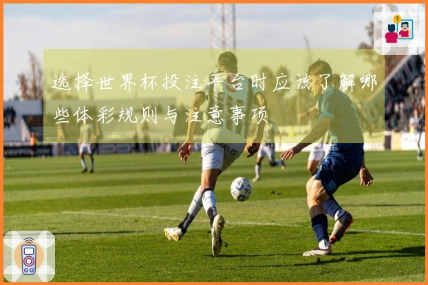 选择世界杯投注平台时应该了解哪些体彩规则与注意事项