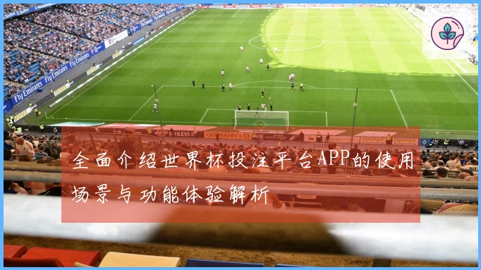 全面介绍世界杯投注平台APP的使用场景与功能体验解析