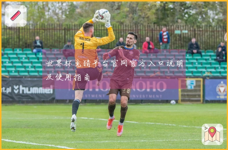 世界杯竞猜平台官网官方入口说明及使用指南
