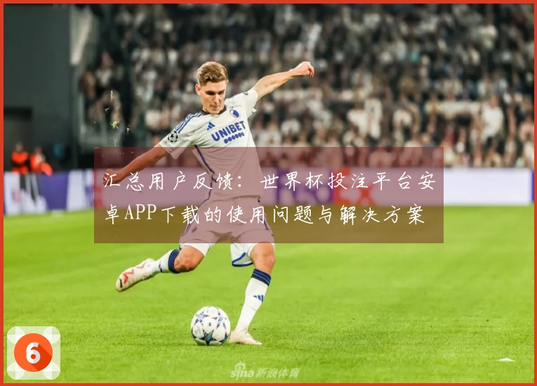汇总用户反馈：世界杯投注平台安卓APP下载的使用问题与解决方案