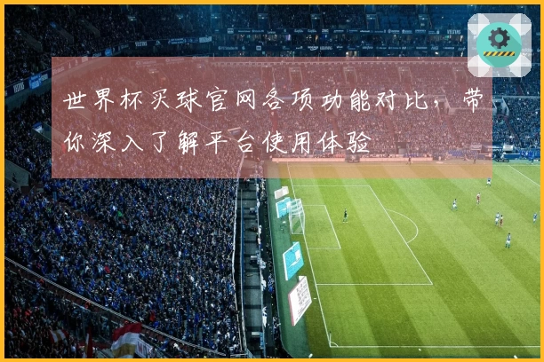 世界杯买球官网各项功能对比，带你深入了解平台使用体验