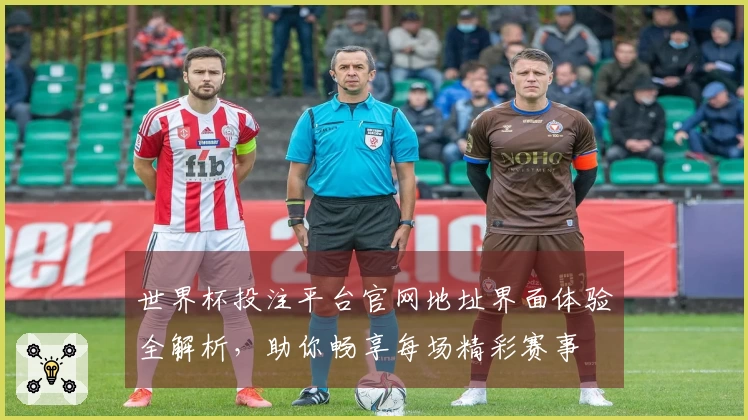 世界杯投注平台官网地址界面体验全解析，助你畅享每场精彩赛事