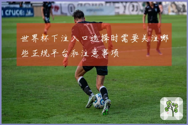 世界杯下注入口选择时需要关注哪些正规平台和注意事项