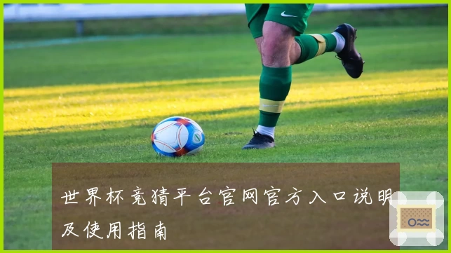 世界杯竞猜平台官网官方入口说明及使用指南